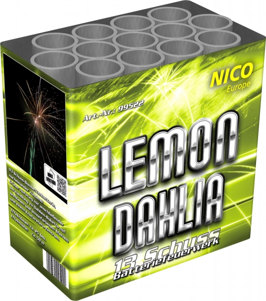 Nico Lemon Dahlia